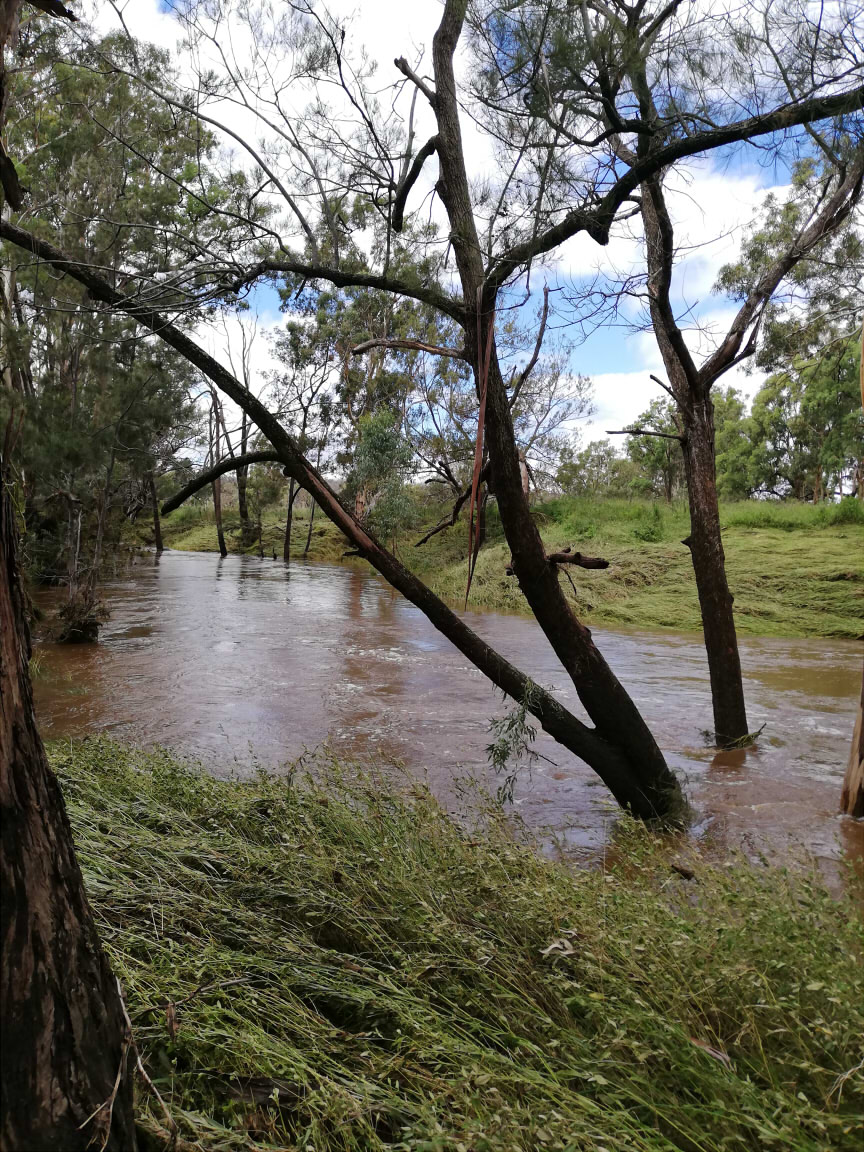 Muddy water flows through a creek