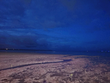 Cairns mudflats