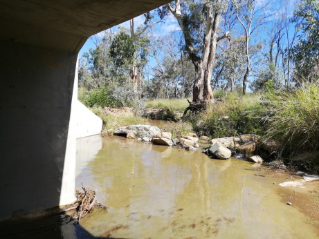 The view from under a drain