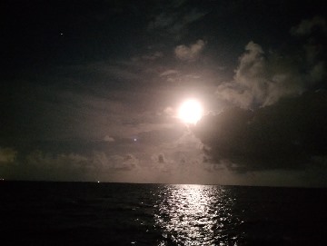 The moon reflects off the black sea