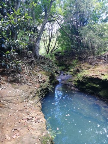 Blue water in a drain