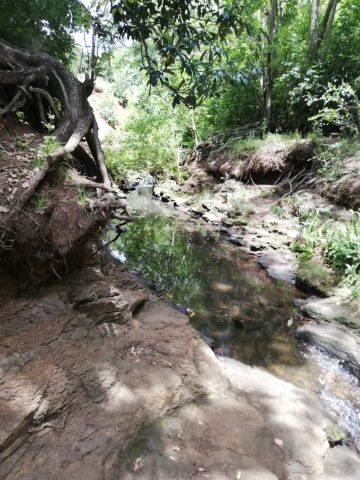 A rockpool in the drain