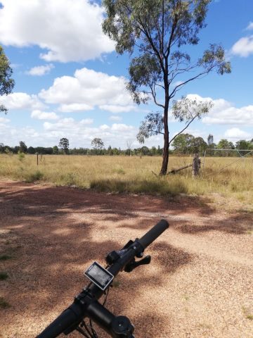 Road overlooking a paddock