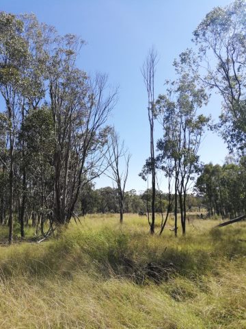 Paddock overlooking a road