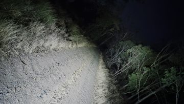 Torchlight shines on a dirt road at night