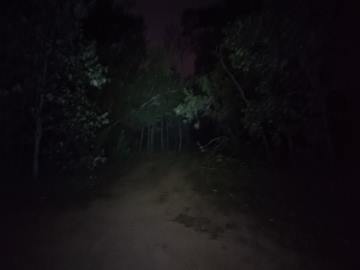 A dirt track barely illuminated at night