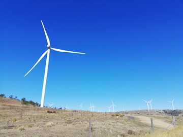 Wind turbines in QLD