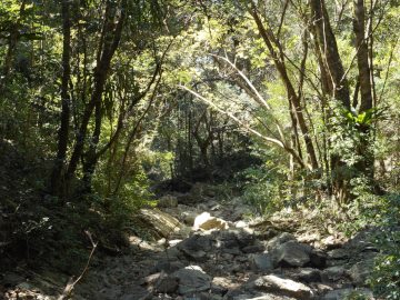 Sunlight shines on the bed of a mountain creek