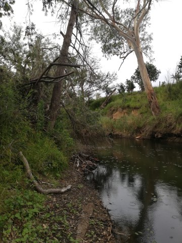 A low creek