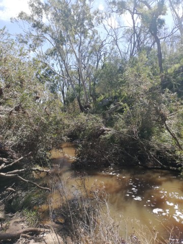 A bubbling creek