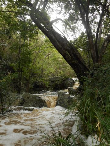 Water rushing down a small waterfall